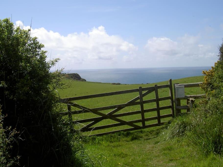 Lower Tresmorn Farmhouse Crackington Haven ภายนอก รูปภาพ